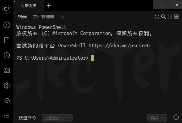 Electerm(跨平台SSH桌面终端) v3.11.11 中文绿色版